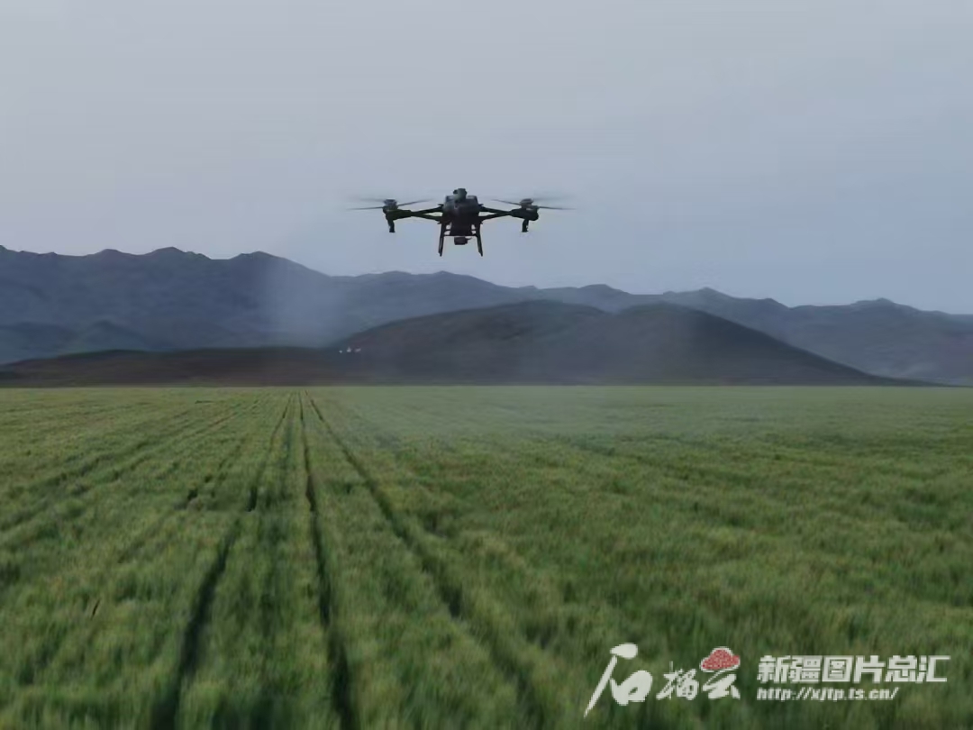 mmexport1736397809672